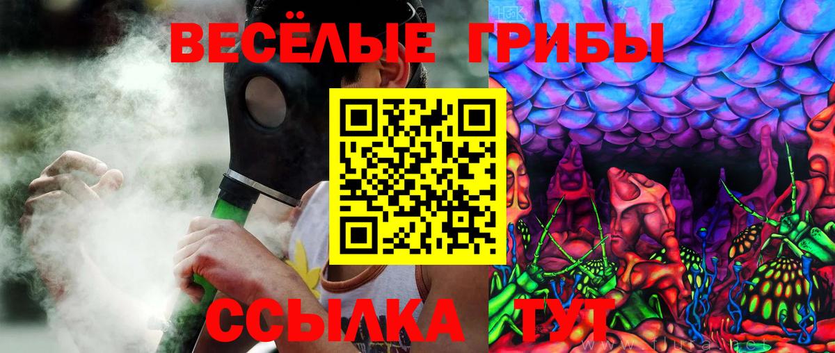Галлюциногенные грибы Magic Shrooms  где найти наркотики  Ангарск  Вход с VPN 
